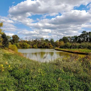 A beautiful day for apple picking.