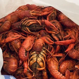 Crawfish