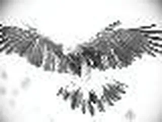 Gunhawk Firearms