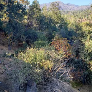 Surrounding area of house