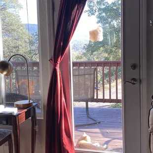 The view from inside room. All windows have blinds and curtains for privacy when needed.directions were taped on the door for our arrival