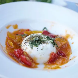 Burrata