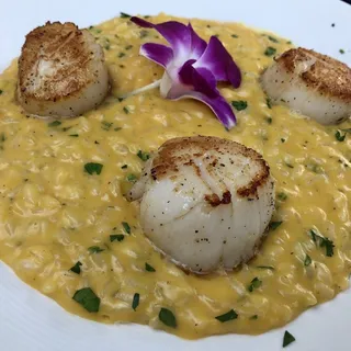 Risotto Alle Capesante