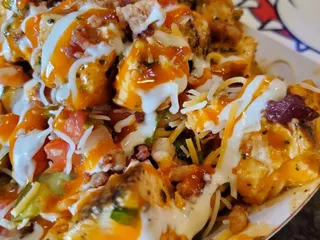 Lobster Dogs Denver Colorado