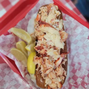 Large lobster  roll