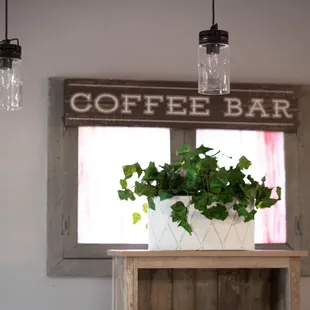a potted plant on a table in front of a window
