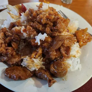 Misc meats and rice