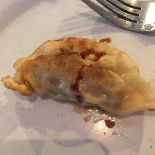 This is he best dumpling!