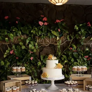 Cake and cupcake display