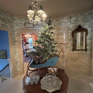 a christmas tree in a wheelbarrow
