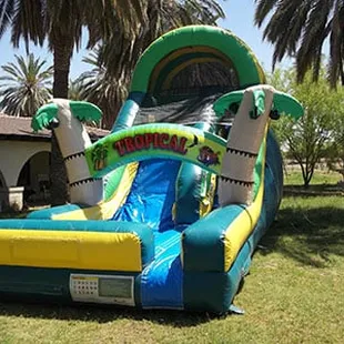 Perfect for your next Luau! The Tropical Wave Water Slide rental is the best choice for your Birthday Party or Company Picnic.