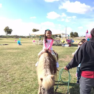 Pony rides