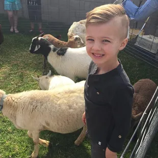 Petting Zoo!
