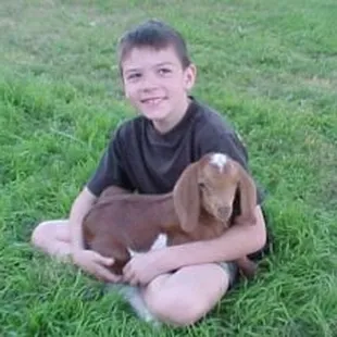 Kids love the sweet and gentle farm animals in our Mobile Petting Zoo. We travel all over Arizona for Parties and Events.