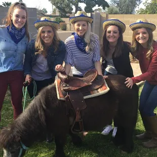 Fiona - the sweetest pony