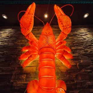  a lobster on display