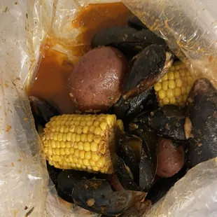 oysters, food, oysters and mussels, mussels, shellfish