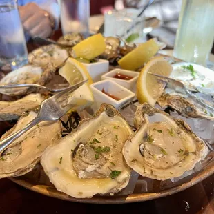 Oysters