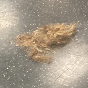 Dry, damaged hair...