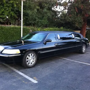 6 passenger  roll with the Best were A Cut Above the rest