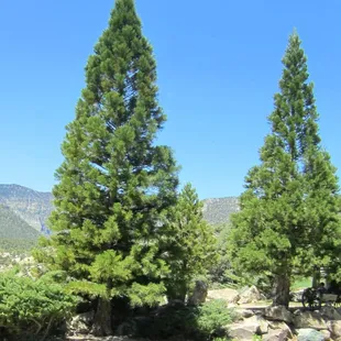 View from our table.