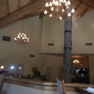 a chandelier hanging from the ceiling