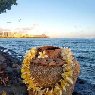 A Day With Akalei