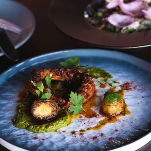 Spanish Octopus Tender