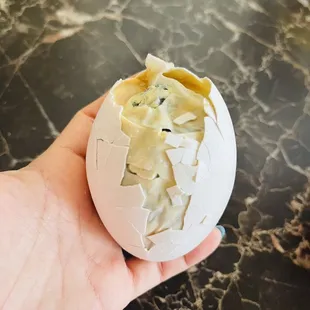 a hand holding a cracked egg