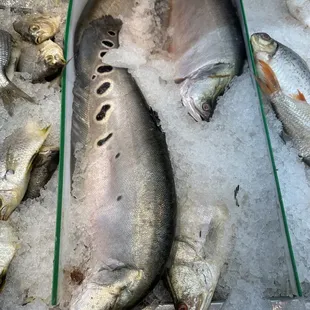 Here's looking at you! Lol