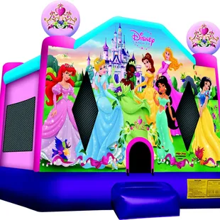 DISNEY PRINCESS 15'X15'