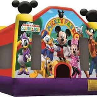 MICKEY PARK 15'x15'