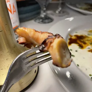 Grilled Spanish Octopus