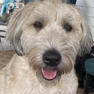 Maggie W.