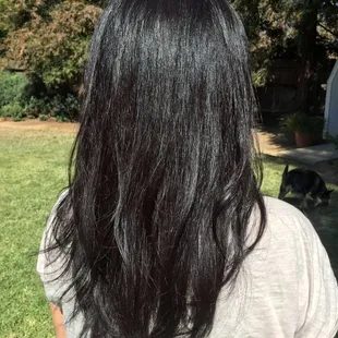 Semi permanent color on textured/curly hair.  Color is darker in the shade &amp; shows red in the sunlight. By Olyvia Johnson