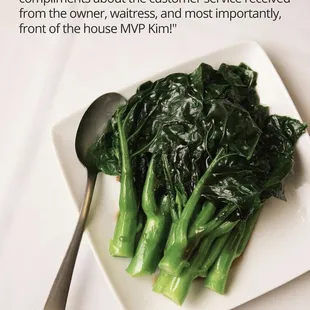 Chinese Broccoli