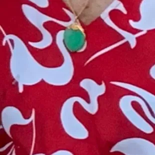 looking for this stolen on 11/29/22 jade pendant. 808-38-6139