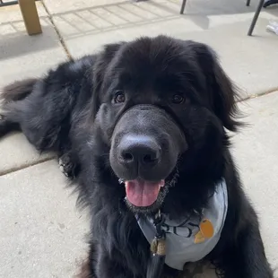 Theo loved the friendly staff.