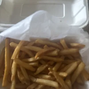 Regular Fries