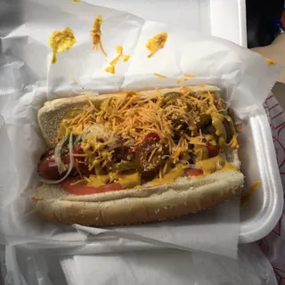Chicago Dog