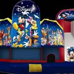 Disney 5 in 1 combo. This unit has a basketball hoop, pop up obstacle, jump through obstacle, climb and a slide.