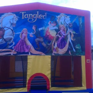 Tangled Module is perfect for your special little one,  This bounce house has different themes or it can be plain.