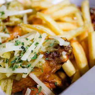 french fries with cheese and sauce
