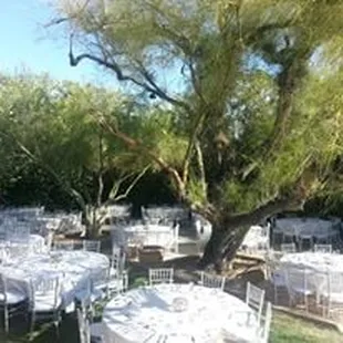 A Wedding at Via Elena in Tucson, AZ