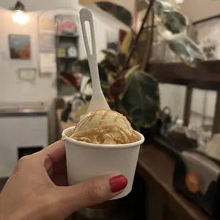 a hand holding a cup of ice cream