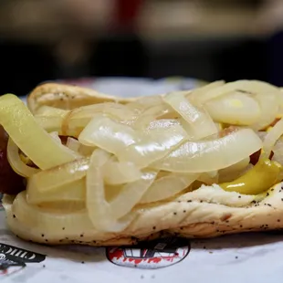 a hot dog with onions