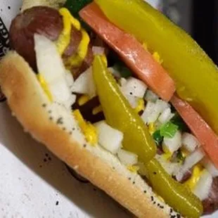 Chicago Dog