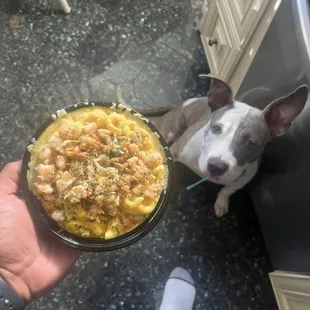 Seafood Mac n cheese bowl was fire!