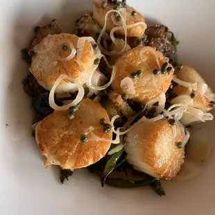 Scallops
