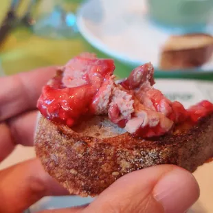 Smattering of duck liver and jam